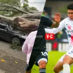 Impactante accidente de Nicolás Hernández: le cayó un árbol encima de la camioneta