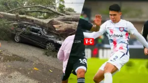 Impactante accidente de Nicolás Hernández: le cayó un árbol encima de la camioneta