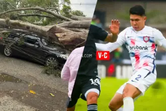 Impactante accidente de Nicolás Hernández: le cayó un árbol encima de la camioneta